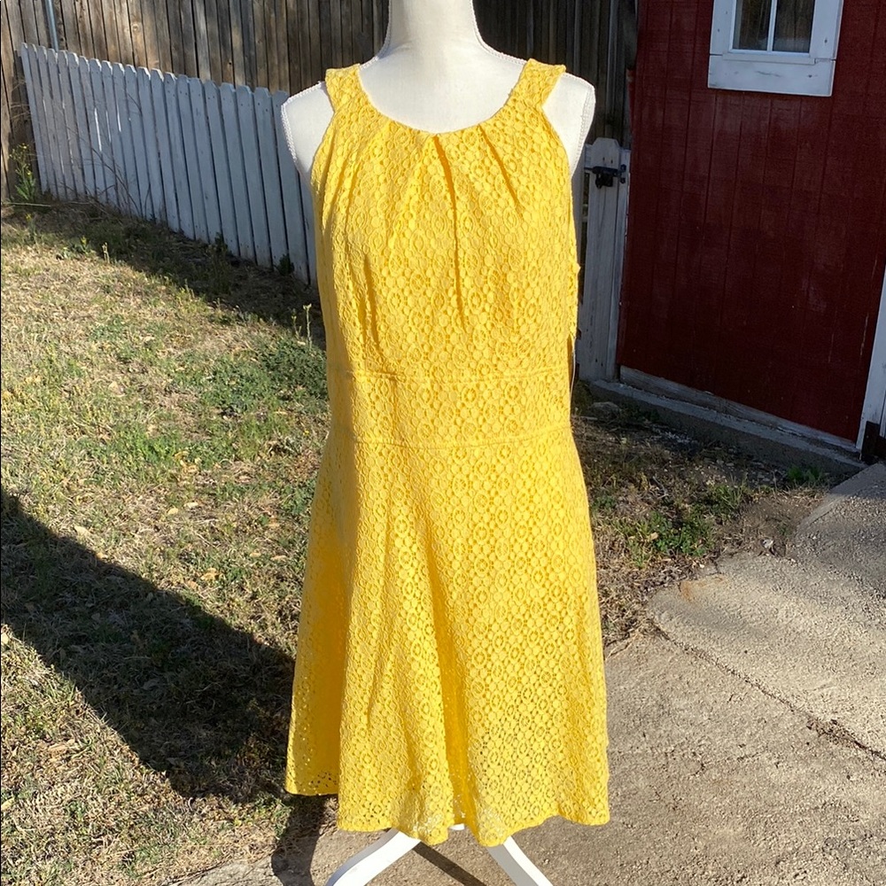 NWT New York & company Yellow Lace Dress